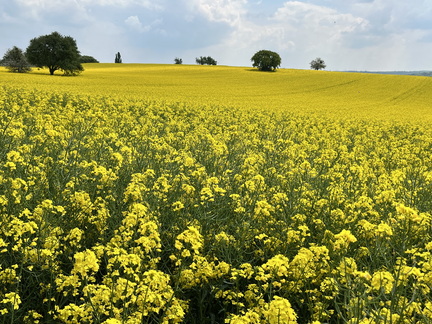 22-05-02 13-44-01 0727